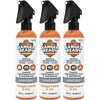 image:imageRanger Ready Repellents Permethrin Spray for Clothes and Outdoor Gear  Permethrin Insect amp Tick Repellent  Scent Zero 24 fl oz Pack of 18 Fl Oz Pack of 3